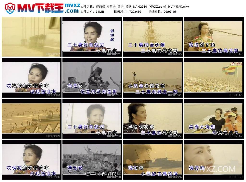 彭丽媛-槐花海_国语_民歌_NAI02914